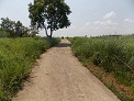 Construction of Footpath at Musiang Lamare (New)